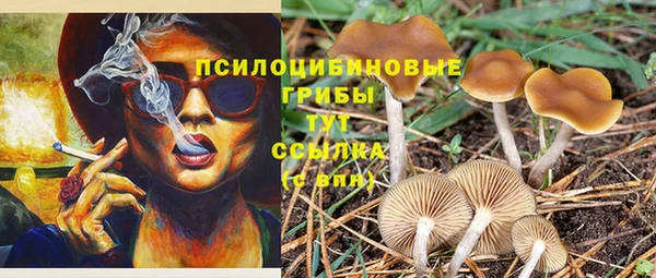 гашик Богородицк