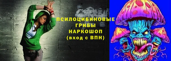 гашик Богородицк