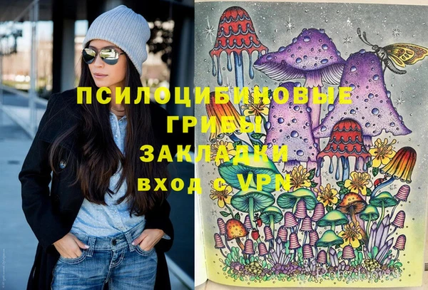 гашик Богородицк