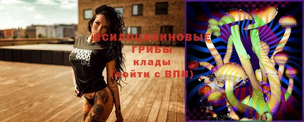 бошки Богородск