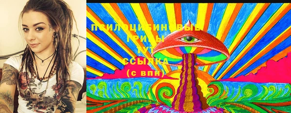 гашик Богородицк