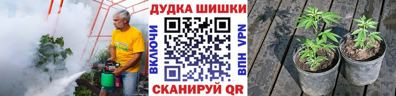 МАРИХУАНА гибрид  blacksprut зеркало  Корсаков 